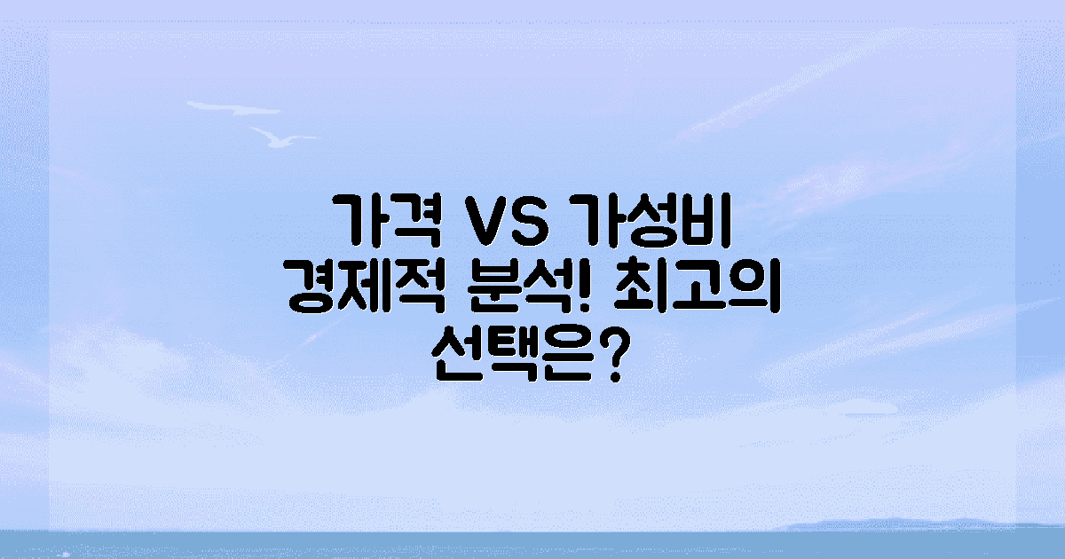 가격과 가성비: 경제적 측면 검토