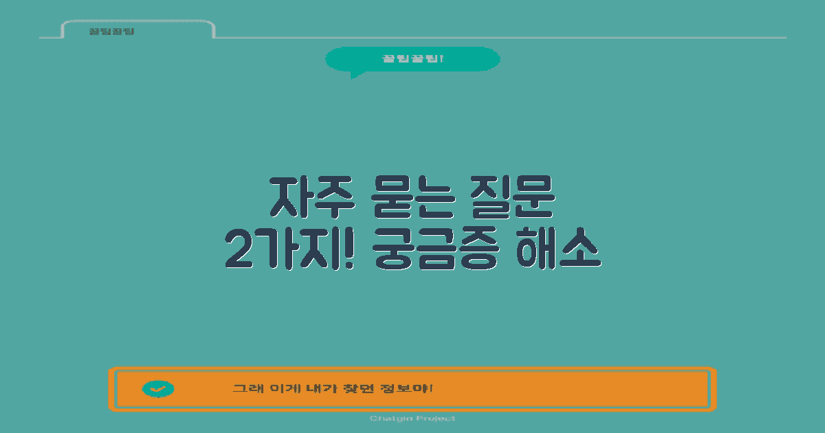 2가지 자주 묻는 질문