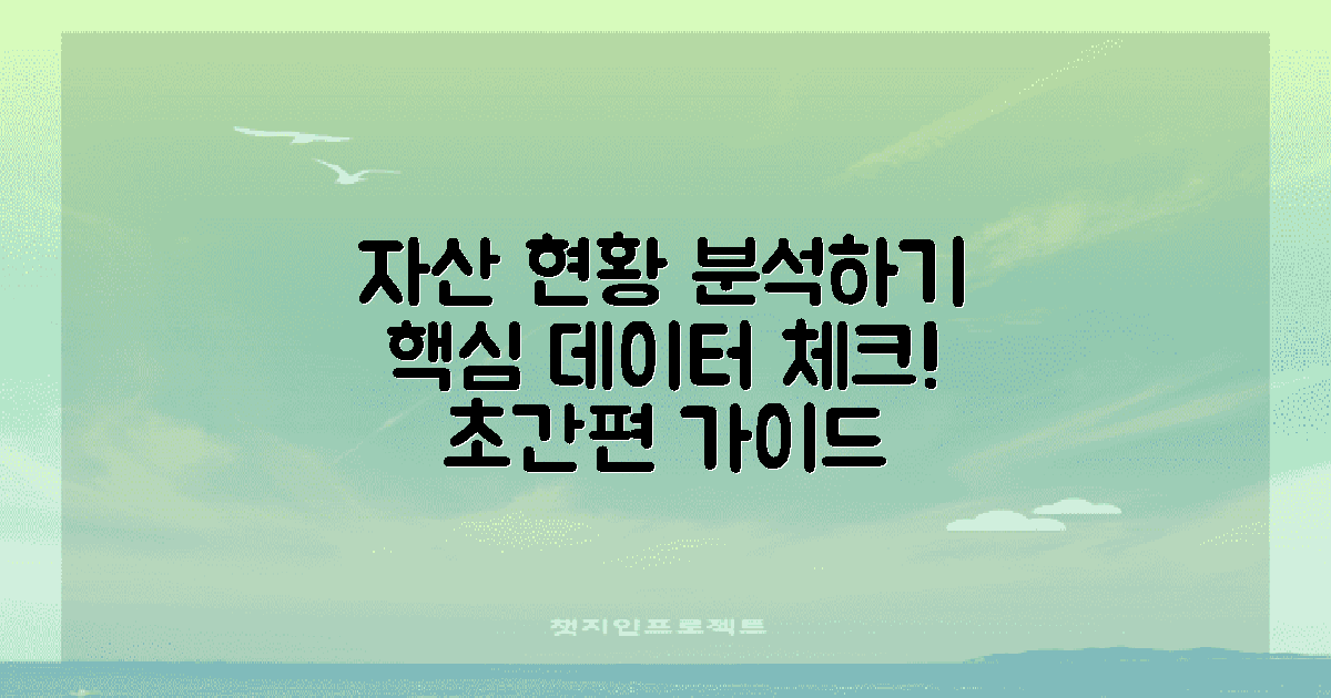 자산 현황을 분석하세요