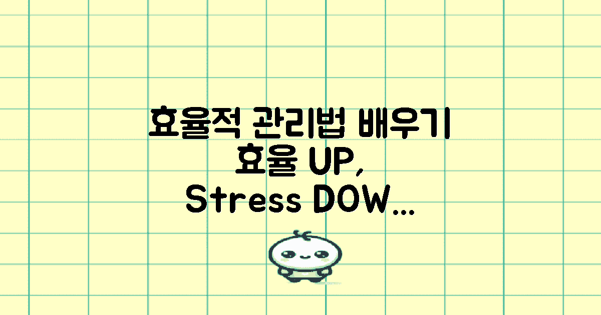 효율적으로 관리하는 법을 배우세요