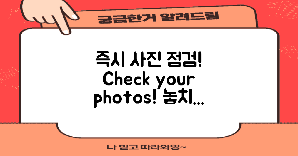 즉시 사진을 점검하세요
