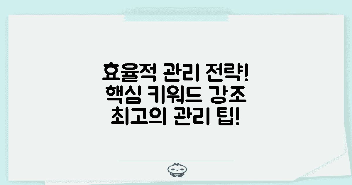효율적 관리 전략 제안