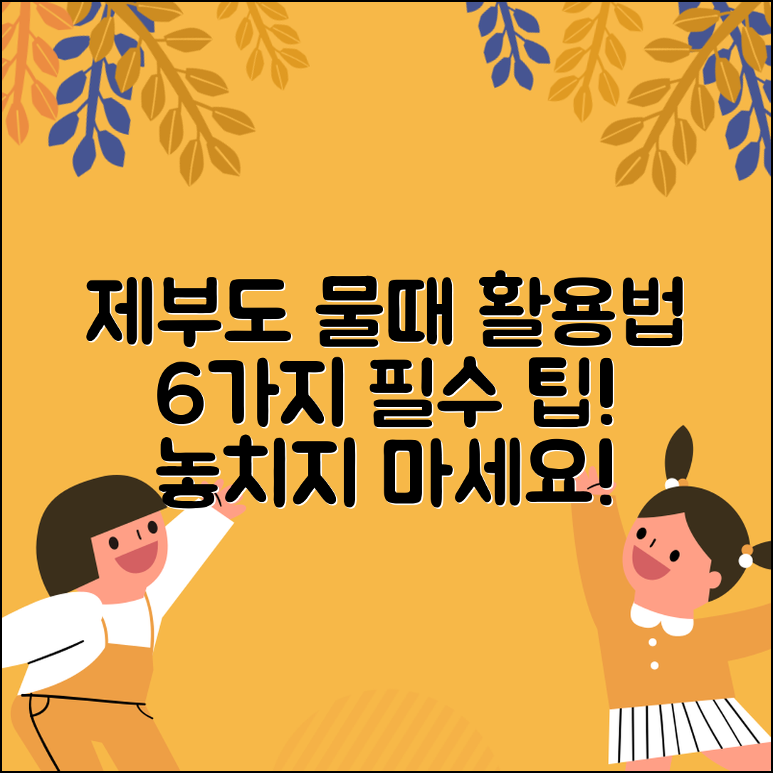 제부도 물때 제대로 활용하는 6가지 팁