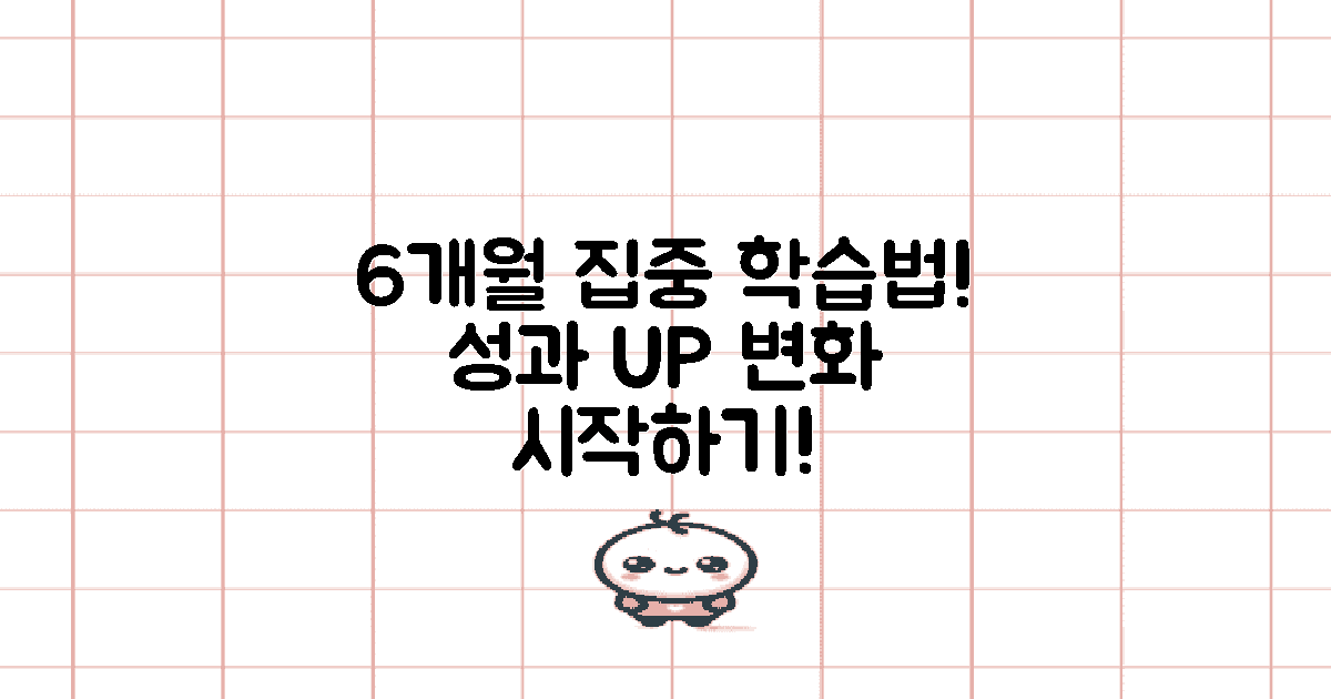 6개월 집중 학습법