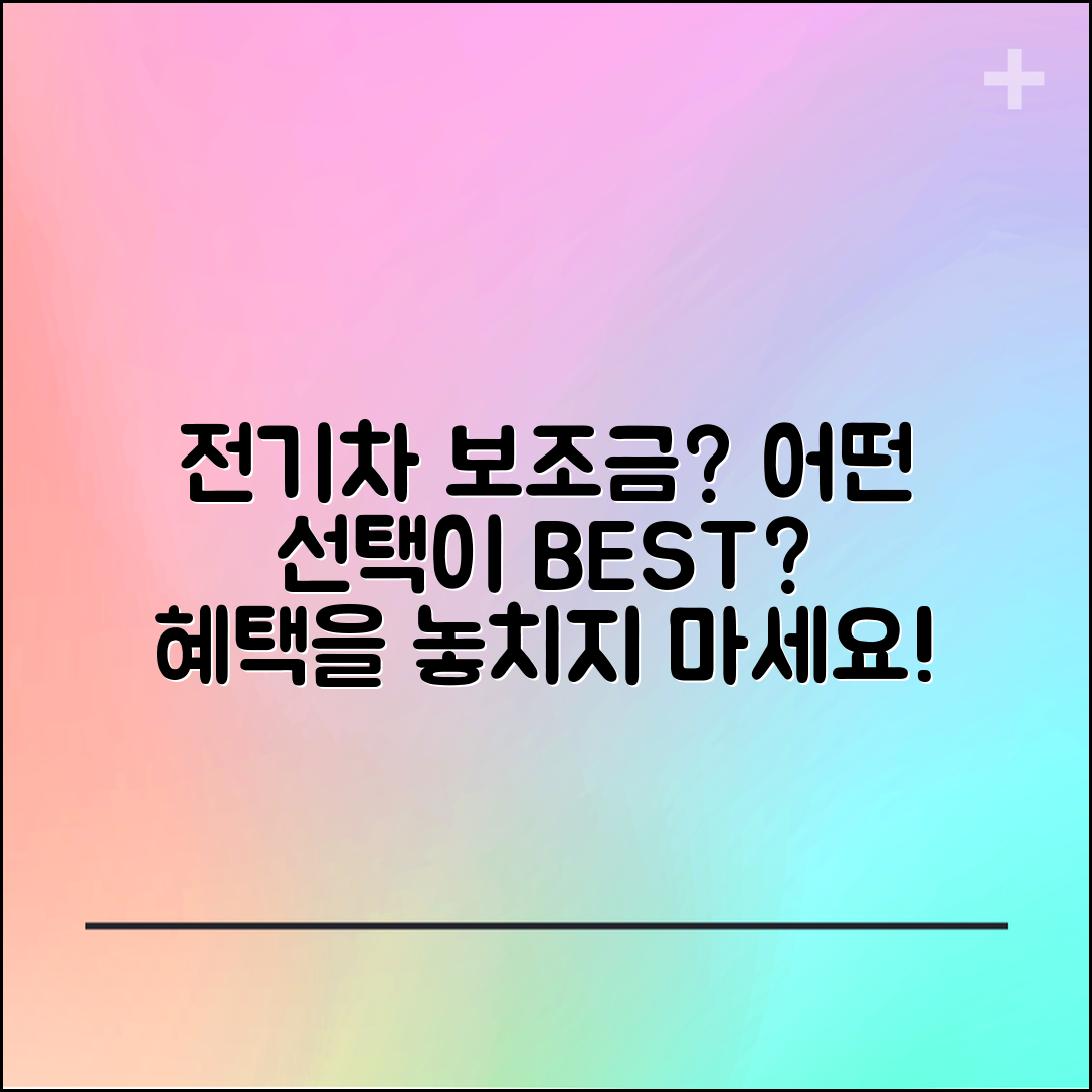 전기차 보조금, 어떤 선택이 최선일까?