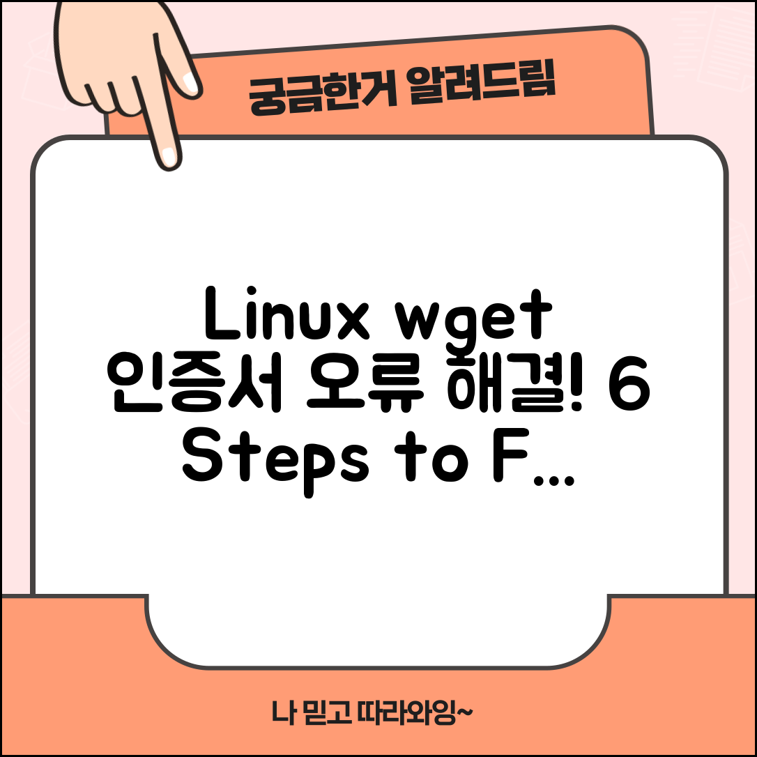 Linux wget에서 인증서 오류 해결하기 6단계 어떤 것들?